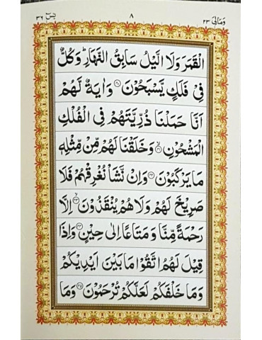 Surah Yaseen (Arabic Only)