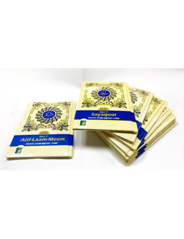 Manzil Style Para Set Quran